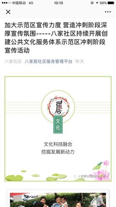 魅力社区丨党员先锋引领,多渠道加大示范区宣传力度--八家社区持续开展创建公共文化服务体系示范区冲刺阶段宣传活动